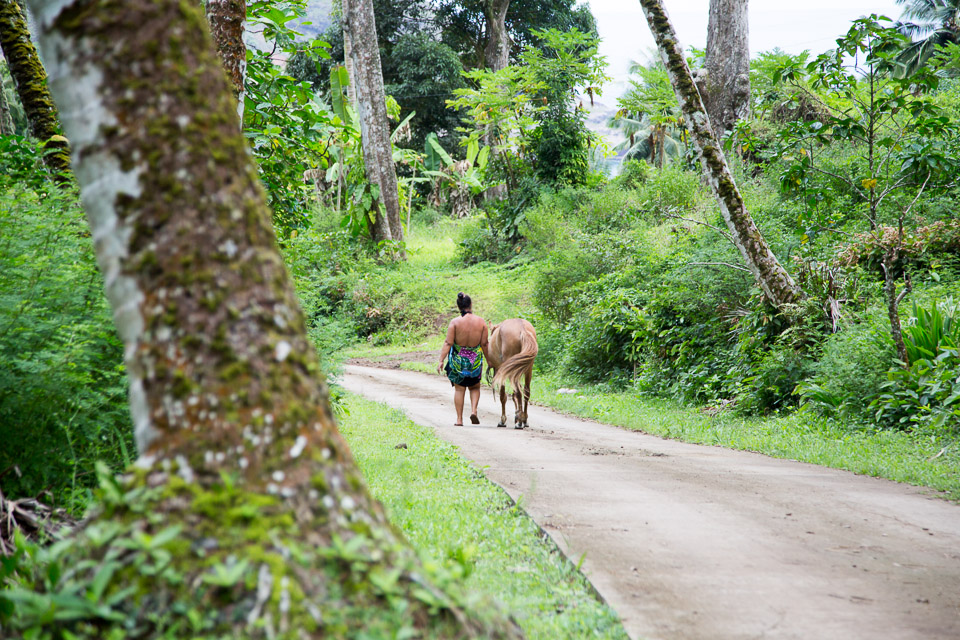 3L9A3254.jpg Les Marquises - Ua Huka - Copyright : See Otherwise 2012 - 2025